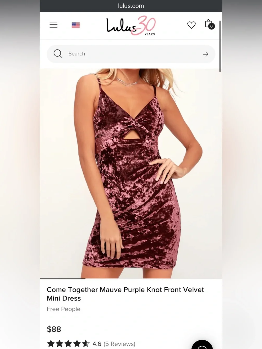 Free People Velvet Party Dress